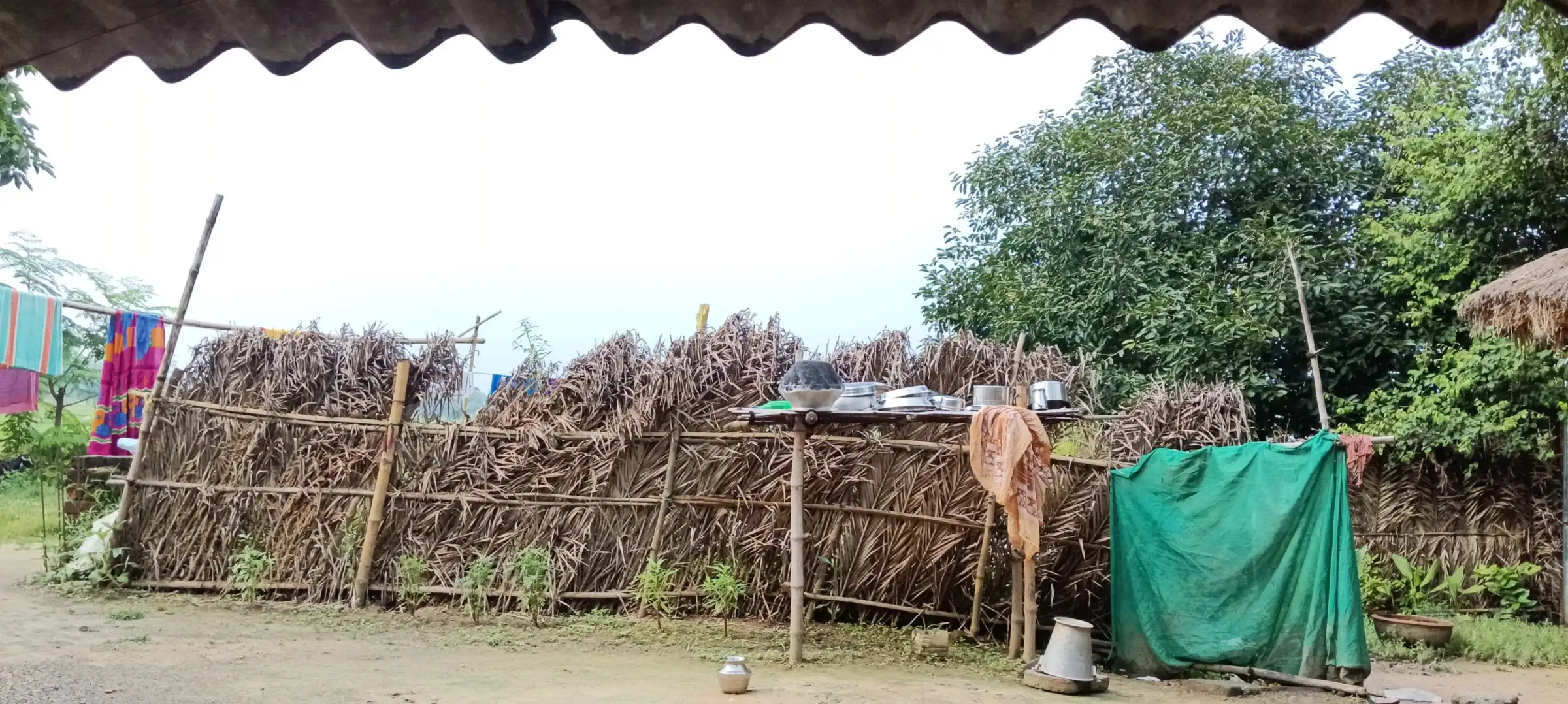 Bamboo and palm-leaf fence enclosing a rural compound