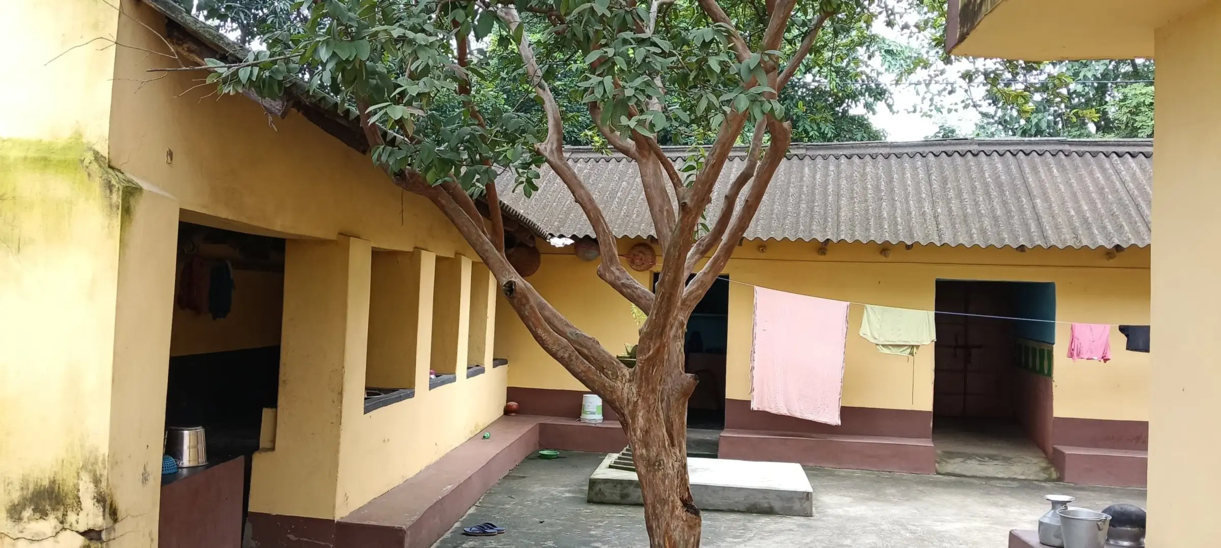 Tree growing in the courtyard of a yellow homestead