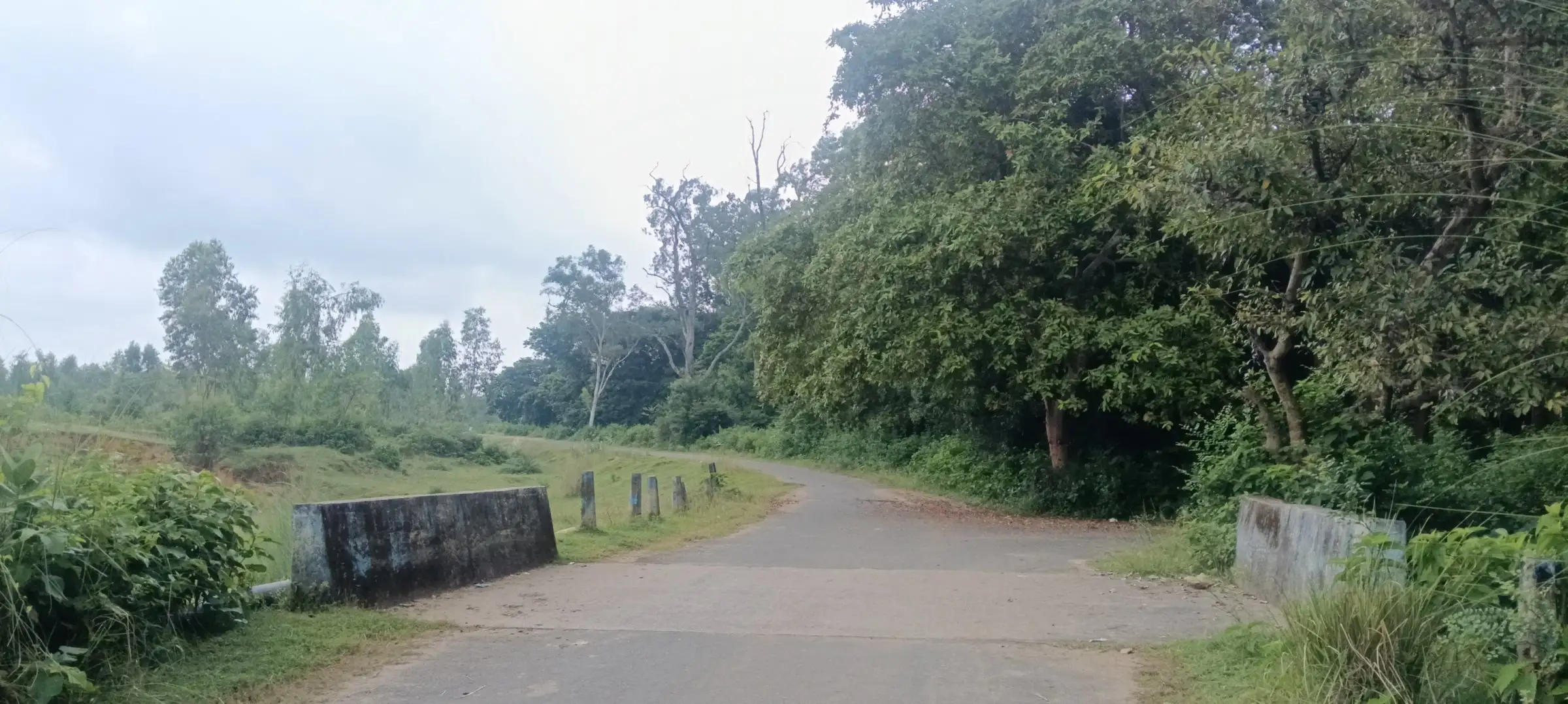 Paved road crossing a small culvert