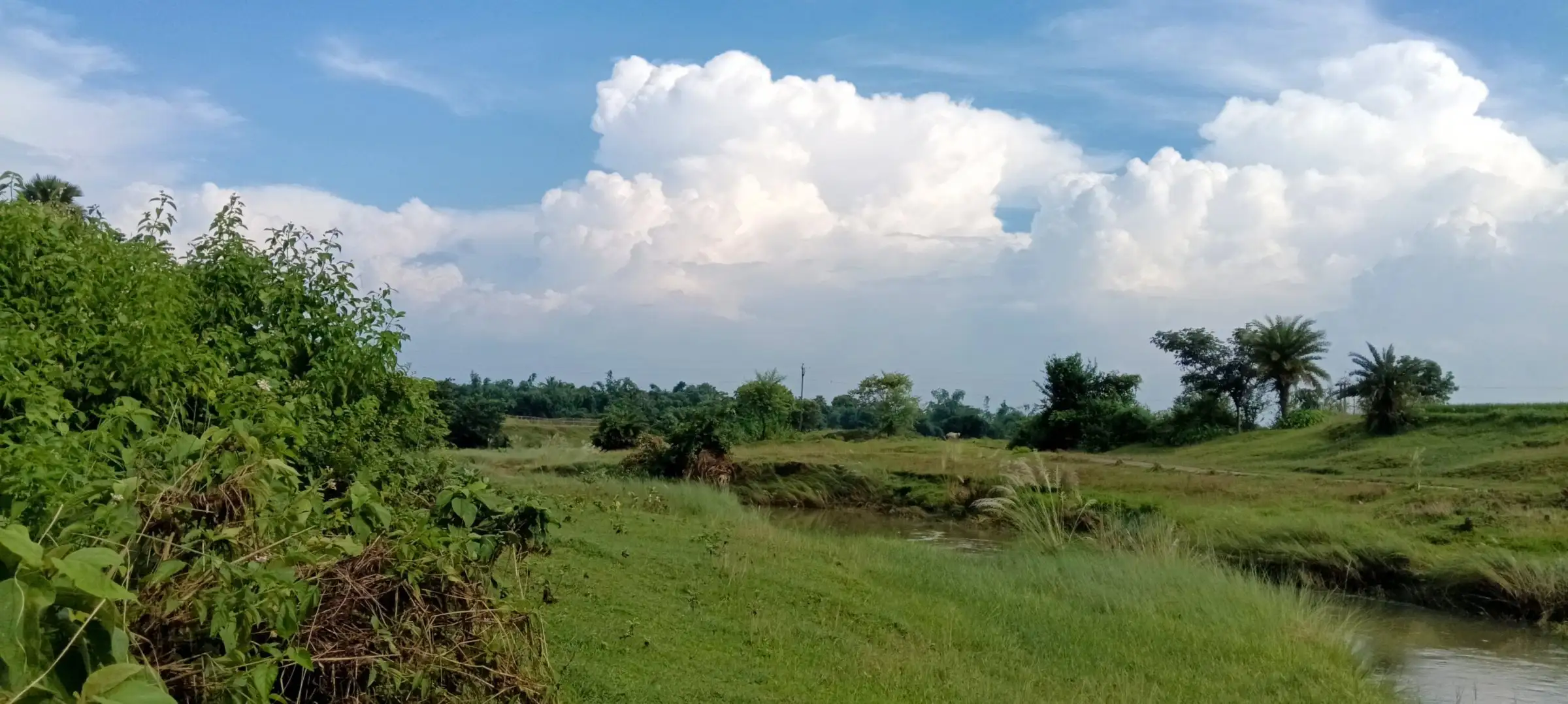 Cumulus clouds over a green plain and stream