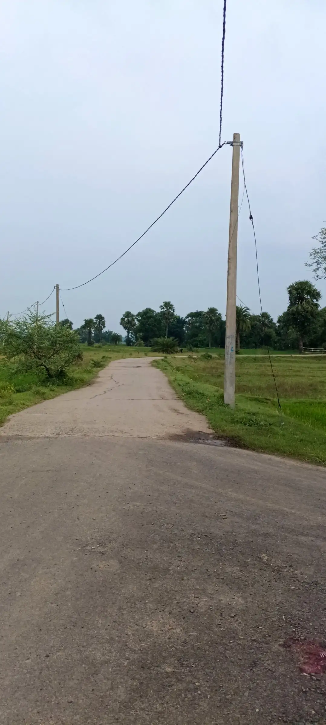 Straight rural road beside an electric pole