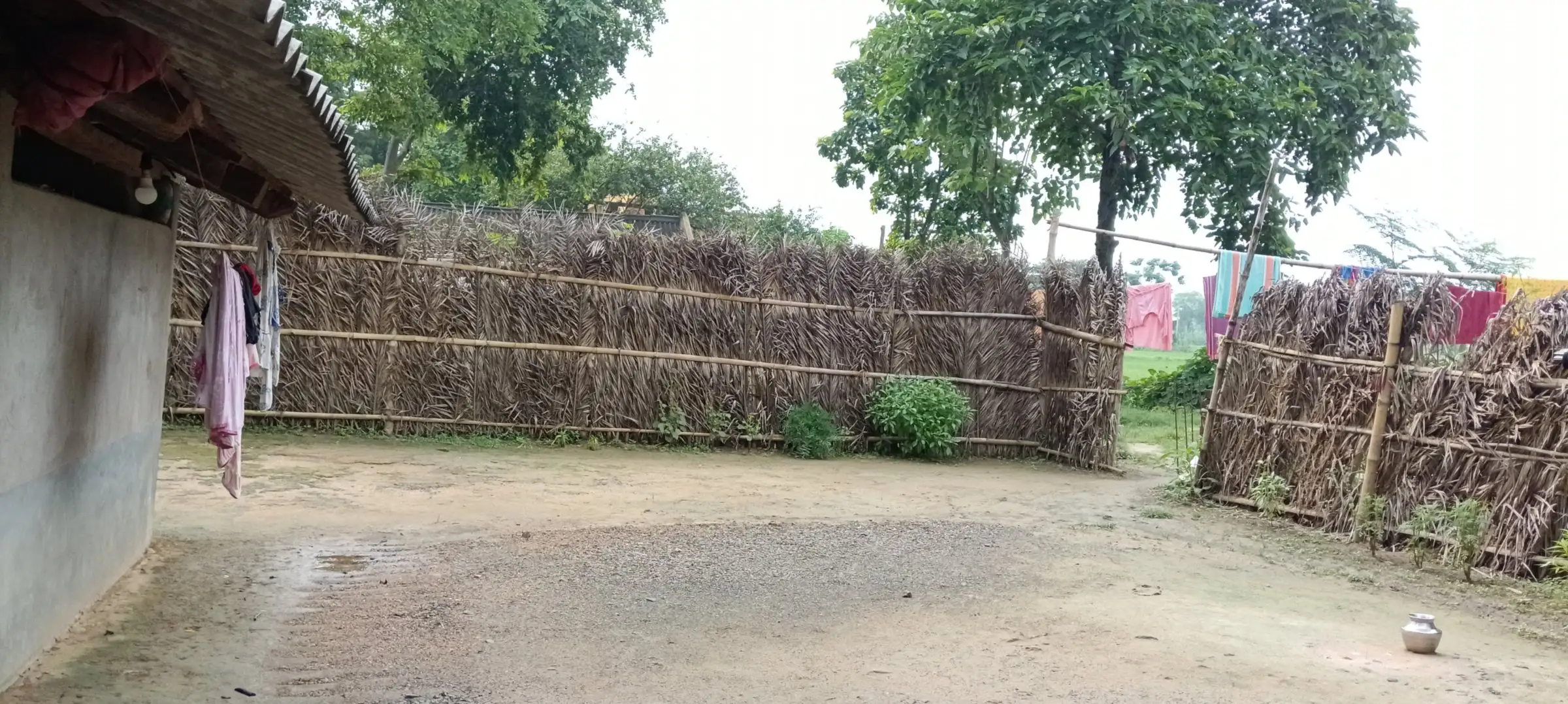 Swept courtyard enclosed by a woven palm fence