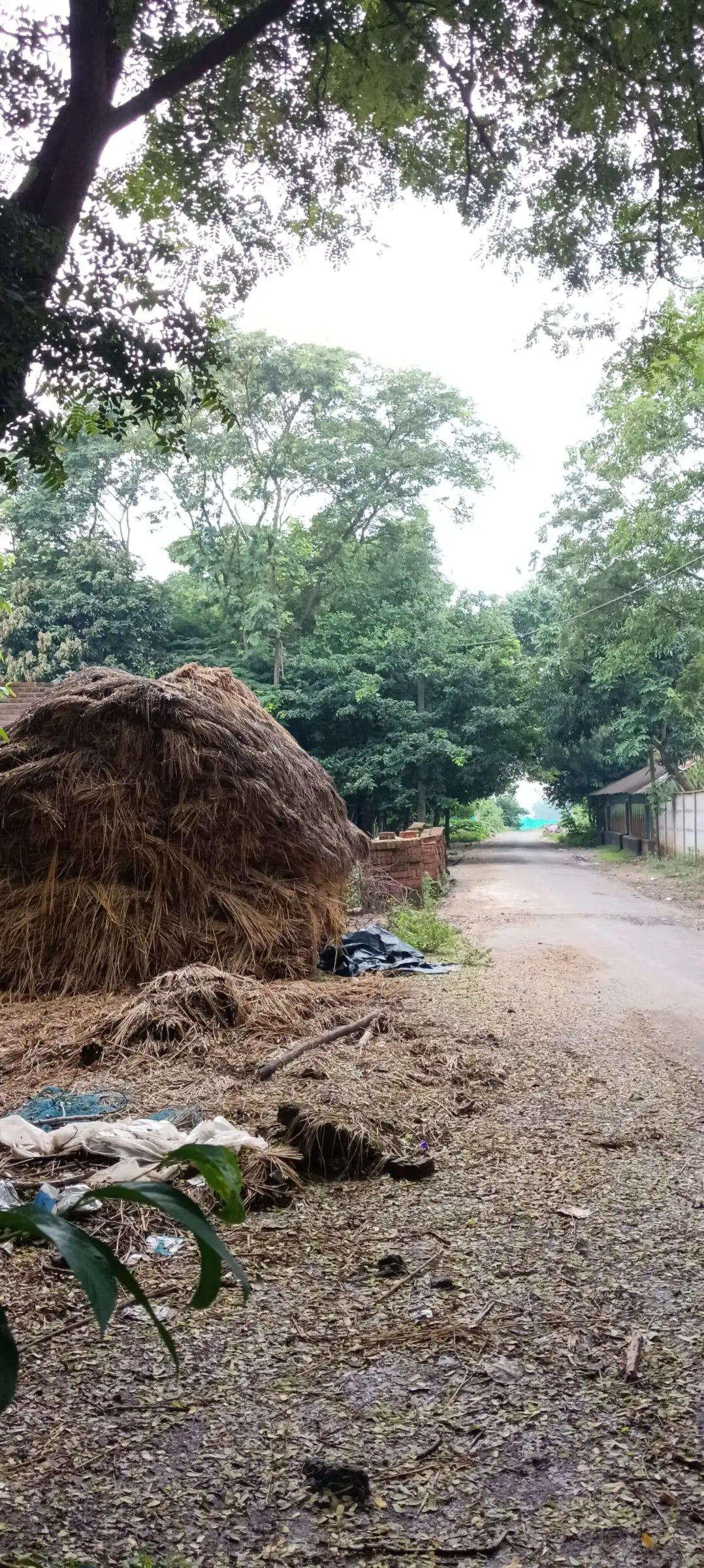 Haystack at the edge of a quiet village road