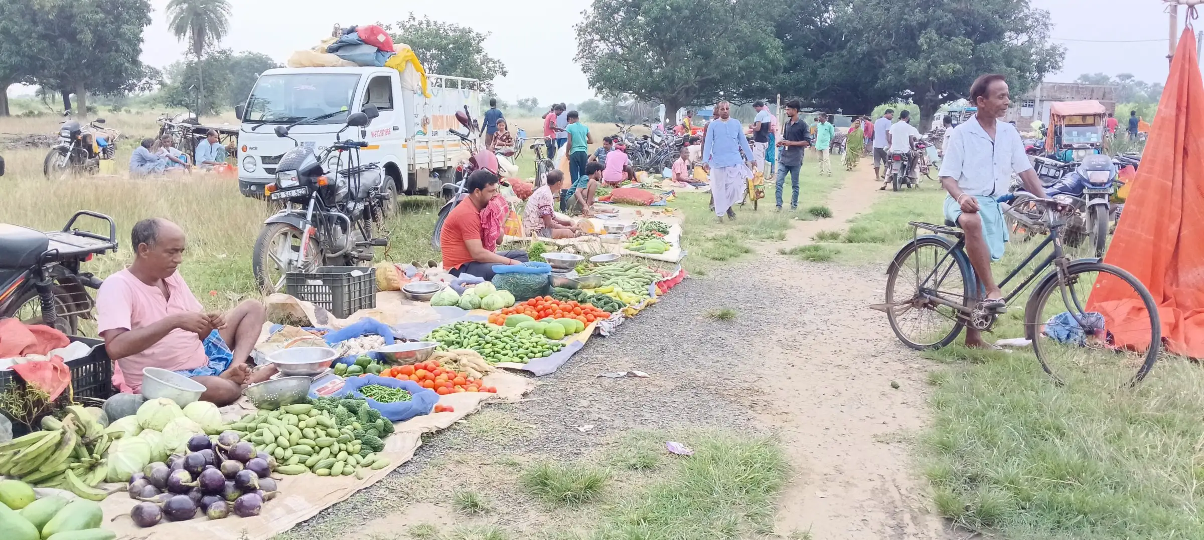 Crowd browsing produce at a rural market