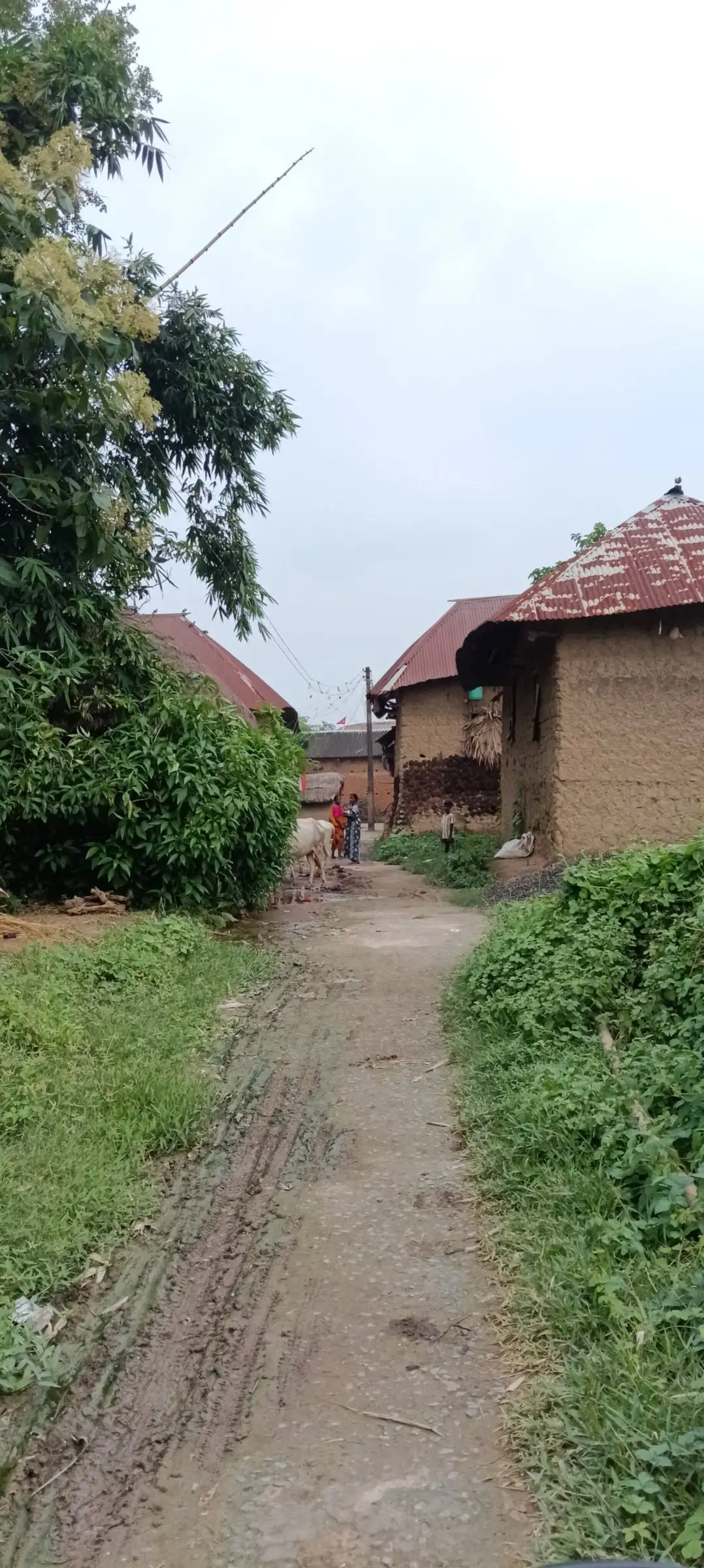 Narrow muddy lane leading to tiled mud houses