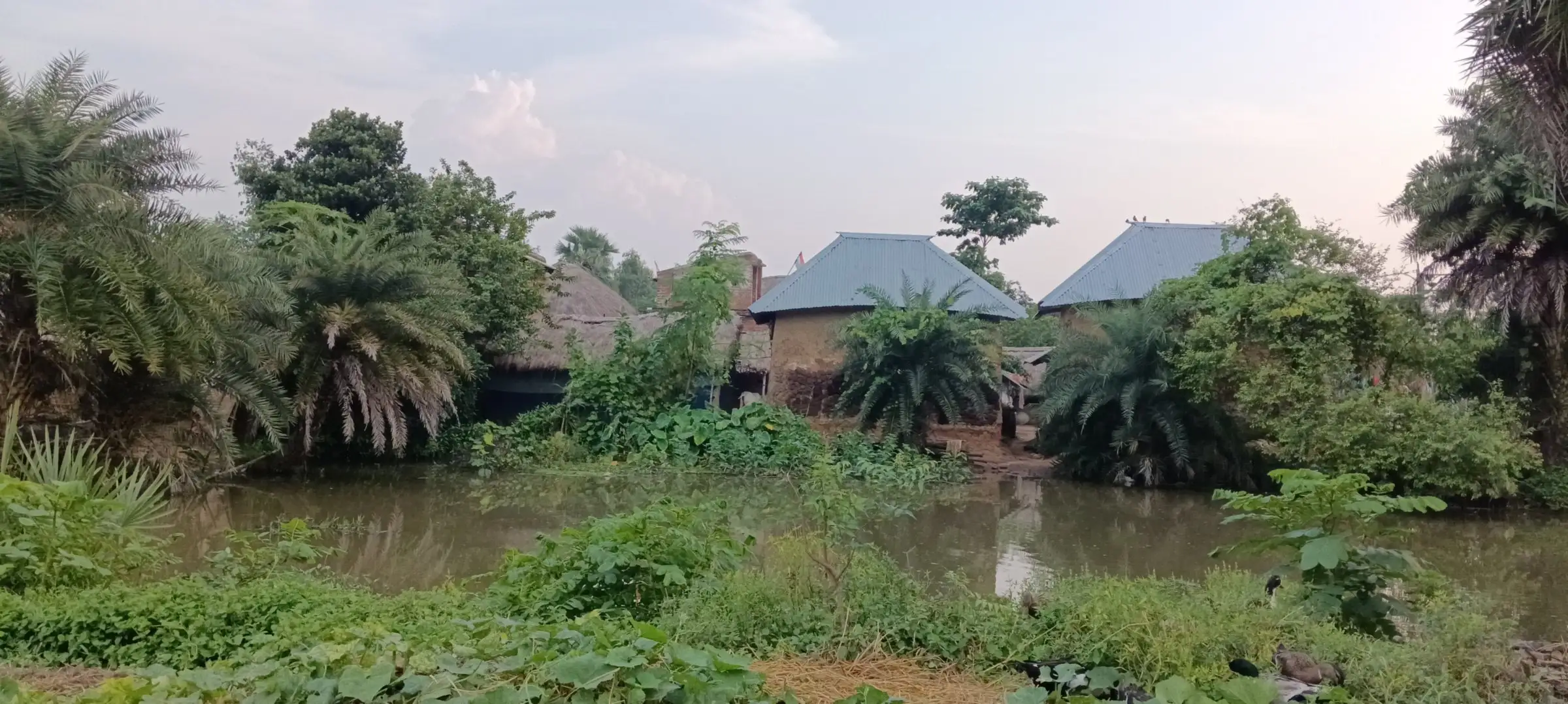 Pond with palms and blue-roofed houses beyond