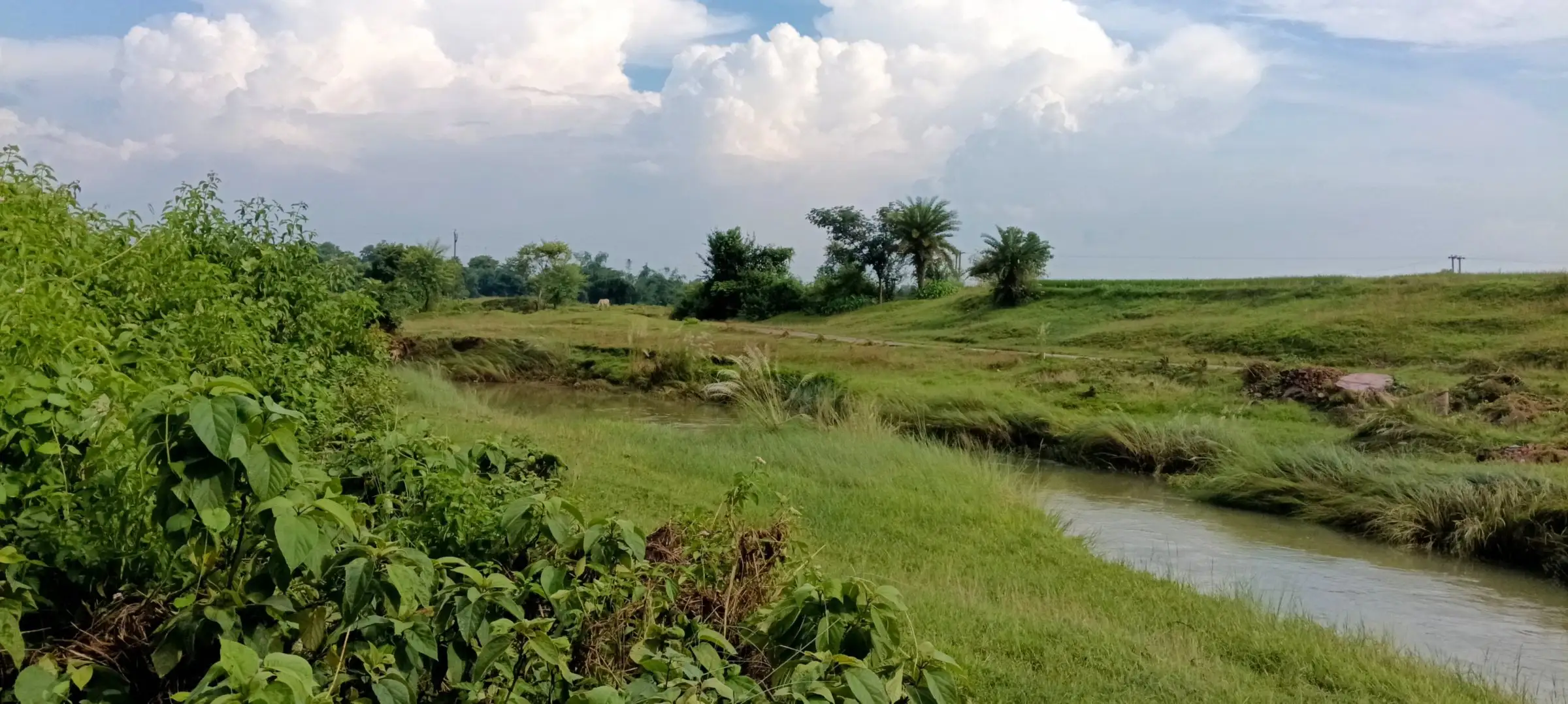 River bend under dramatic white clouds