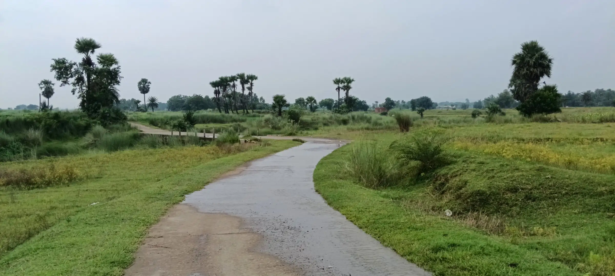 Rain-wet road curving through green fields