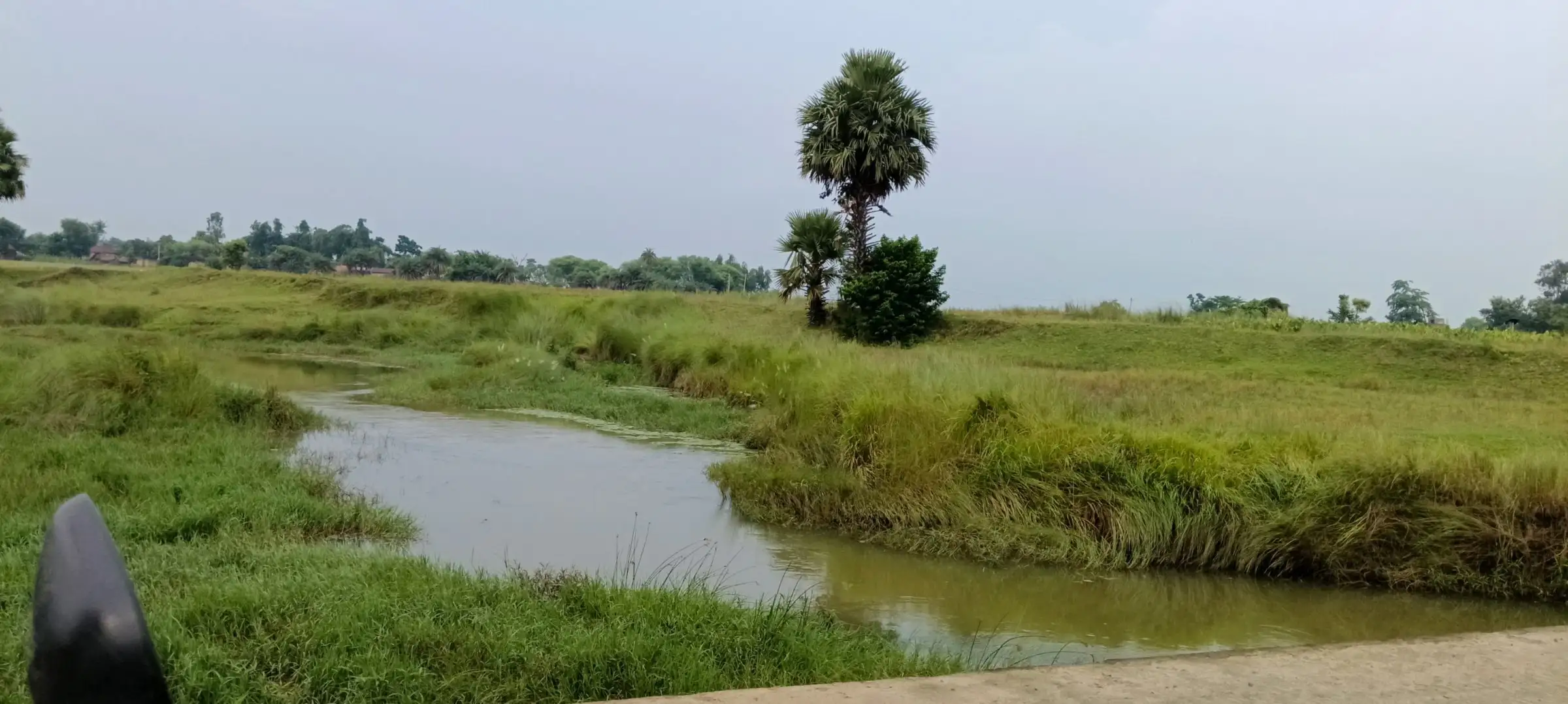 Canal winding through green fields and palm trees